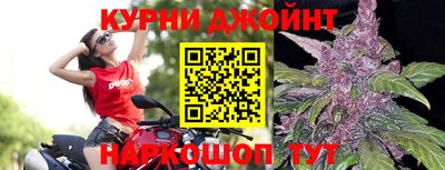 гидра Гатчина