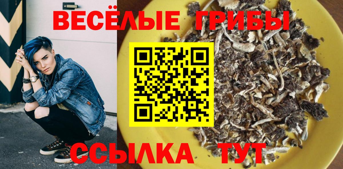 Псилоцибиновые грибы Psilocybe Унеча